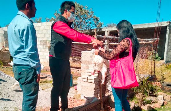 Antorcha Entrega Paquetes De Aves De Postura En Jilotepec Movimiento