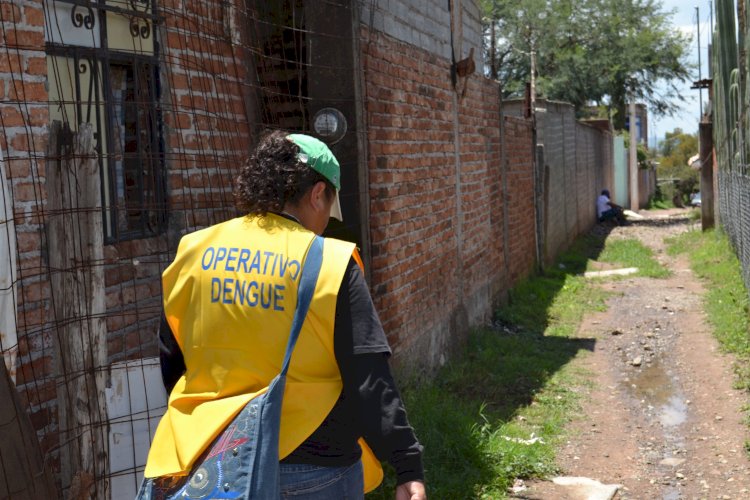 REPORTAJE Aumentan Los Casos De Dengue En Guanajuato Movimiento