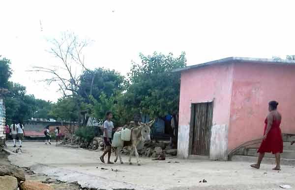 Comunidad de Apalani, Acapulco, un año sin agua potable