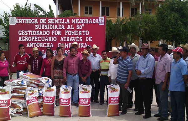 Campesinos de José Azueta logran maíz subsidiado