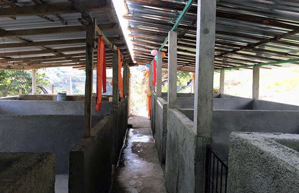 Entrega Antorcha proyecto de cría de cerdos en Zapotitlán Tablas
