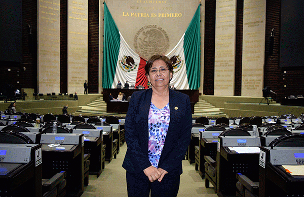 Declaran a la Sierra Negra y Norte zonas de emergencia