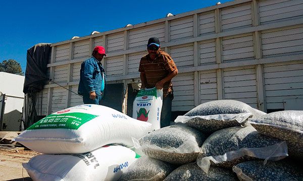 Beneficia Antorcha a agricultores pobres con semilla y fertilizantes