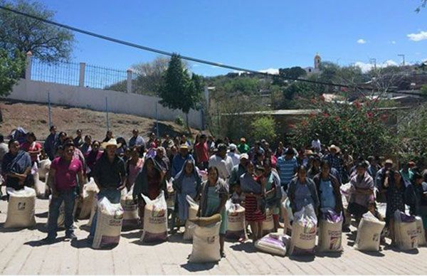 Se benefician con maíz 200 familias del municipio de Copalillo