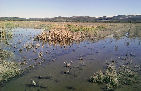 Ejidatarios Soledenses afectados por inundación de parcelas