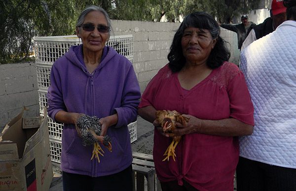 Familias chimalhuacanas crean pequeñas granjas en su hogar