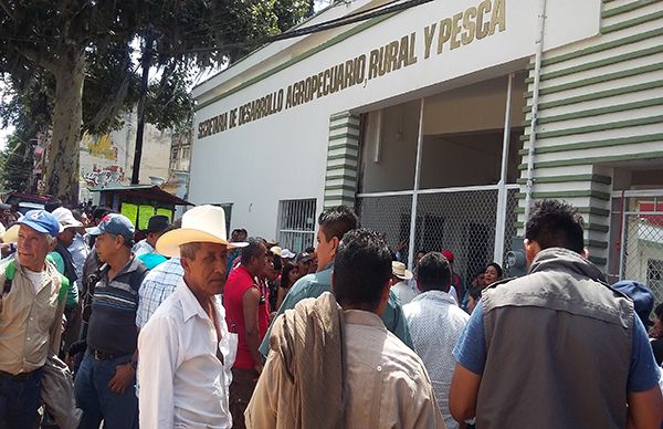 Negligencia de la Sedarpa margina a miles de campesinos  veracruzanos: Antorcha Campesina