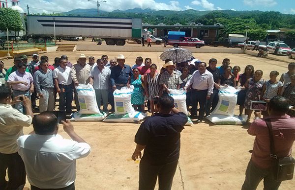 Logra Antorcha fertilizante para campesinos de Mecayapan