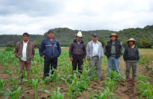 Campesinos solicitan apoyo al Movimiento Antorchista