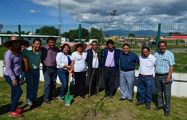  Impulsan programa de forestación urbana en Chimalhuacán