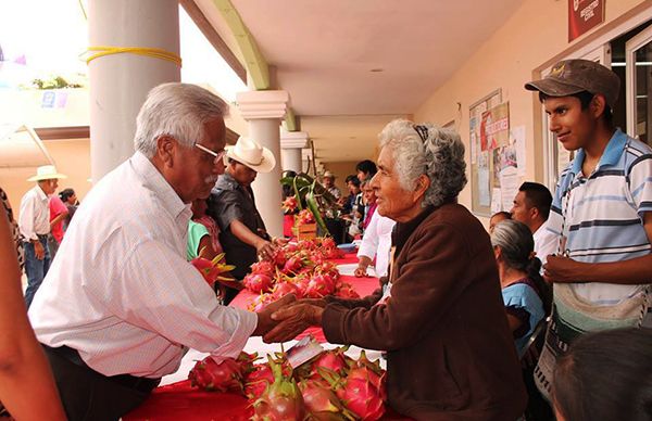  Con éxito realizan primera Feria de la Pitahaya  