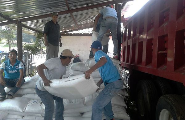 Gracias a gestión antorchista, campesinos de Sultepec reciben fertilizante