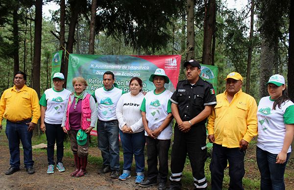  Reforestan área natural protegida en Llano Grande 