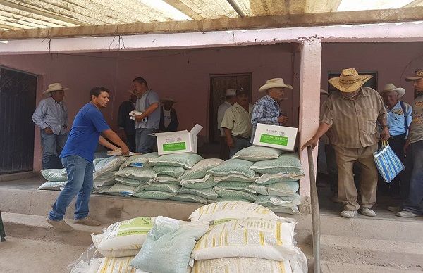 Antorchistas benefician a productores con semilla de maíz en Guadalcázar