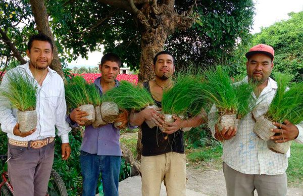  Entregan apoyos para reforestación