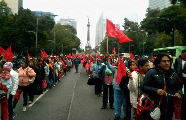 Michoacán presente en la manifestación ante Sedesol