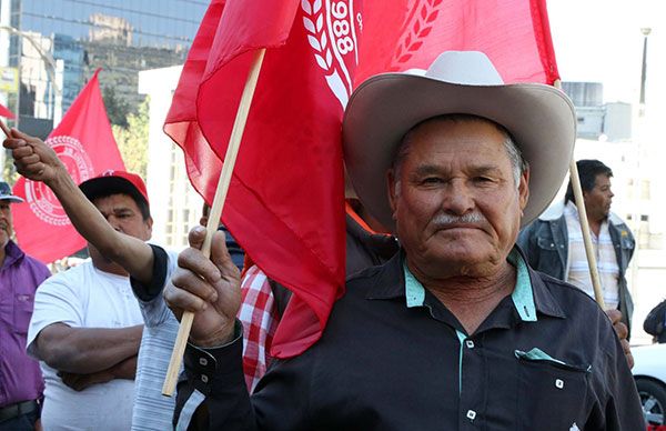 Campesinos de 12 estados protestan hoy en Sagarpa