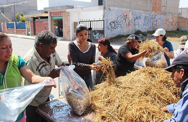 Ixtapaluquenses aprenden a sembrar hongo seta 