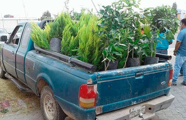  Reforestación en colonias populares