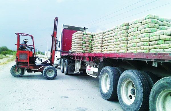 Llegan 500 bultos de cemento a familias de Viesca