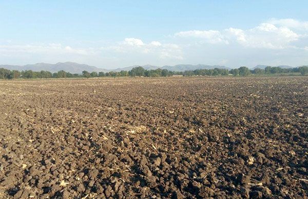 Por falta de apoyos, productores se manifiestarán en Secretaria de Agricultura