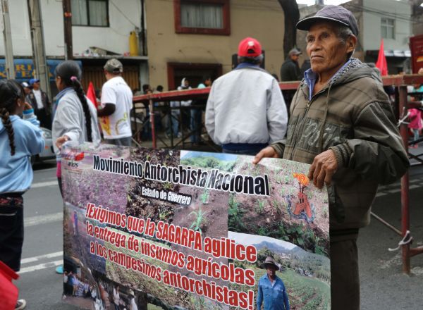 30 mil campesino exigen a SAGARPA apoyo al campo. 