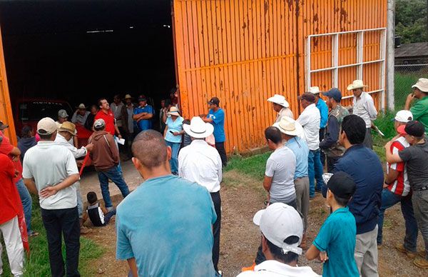 Logran campesinos arienses entrega de fertilizante