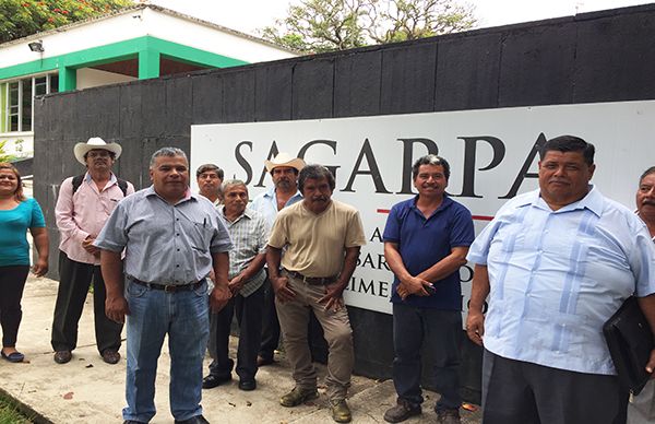 Sedarpa y Sagarpa renuentes en el pago del seguro catastrófico agrícola: denuncia Antorcha