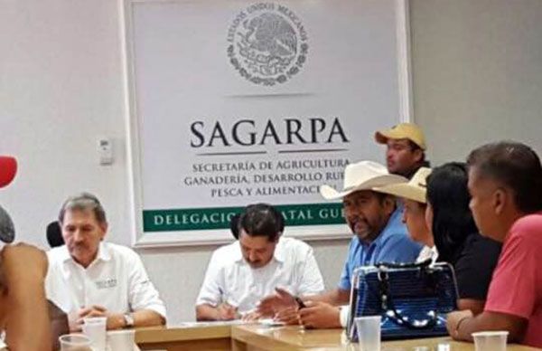 Productores de La Montaña tomarán oficinas de la Sagarpa en Tlapa