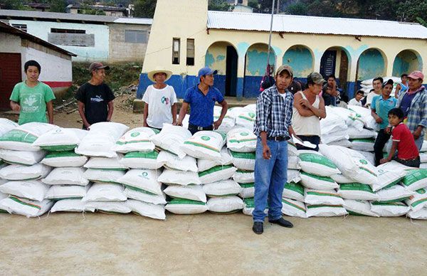 Campesinos beneficiados con insumos para el campo