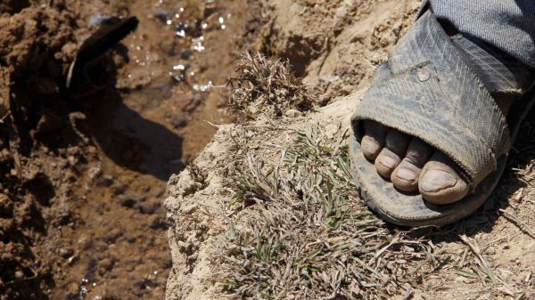 La lucha por el fertilizante es la lucha por la soberanía alimentaria