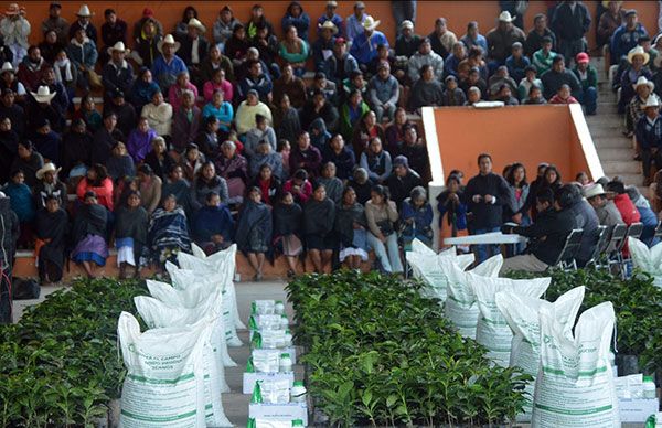  Reconocen los beneficios de Café Huitzi