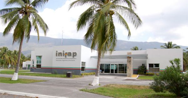 ¡El INIFAP miente!, ocupa y explota en su provecho tierras de humildes ejidatarios del municipio de Tecomán