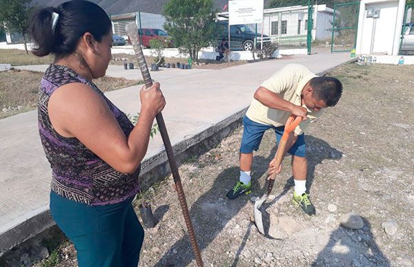 Plantan árboles en la Unidad Deportiva La Peregrina