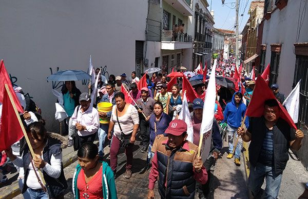 Yolanda Tellería da la espalda a pachuqueños 