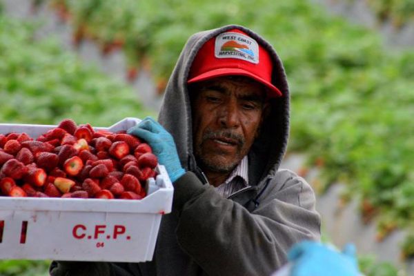  Mexicano si no te organizas y luchas por tus derechos no habrá esperanza de una mejor calidad de vida