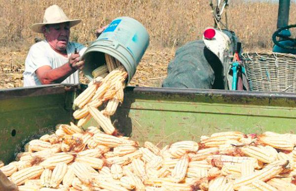 El campo mexicano necesita propuestas y acciones viables