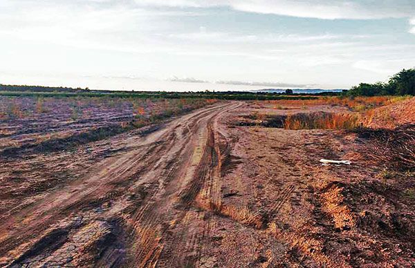 Laguna de oxidación y reposición del drenaje, para ejidos San Felipe y Zaragoza, en Jiménez