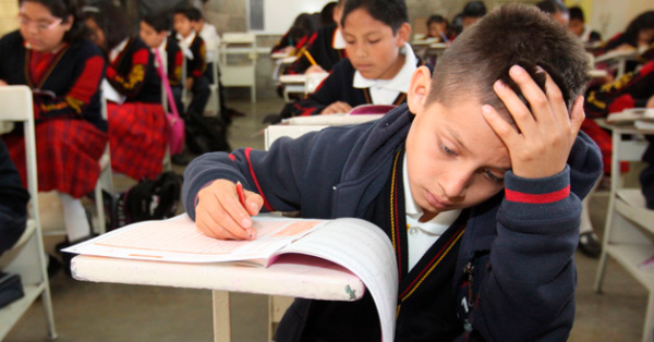 La educación no cubre la conciencia crítica