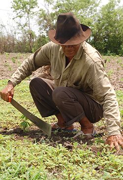 El Campo está triste