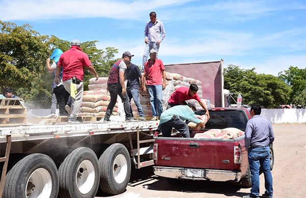 Continúa la distribución de cemento en Cunduacán