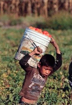 Los niños fantasmas de Colima, ¿otro eufemismo de la cuarta transformación?