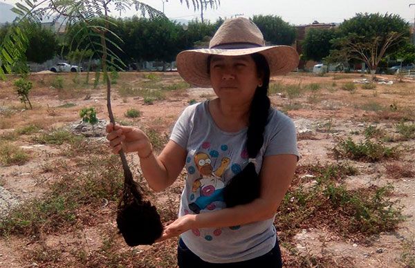 Diputada contribuye a reforestar Tuxtla