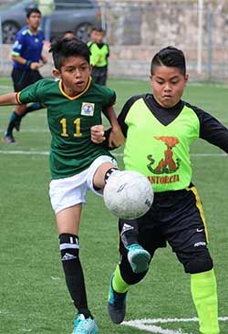 Salud y deporte, dos temas preocupantes en México