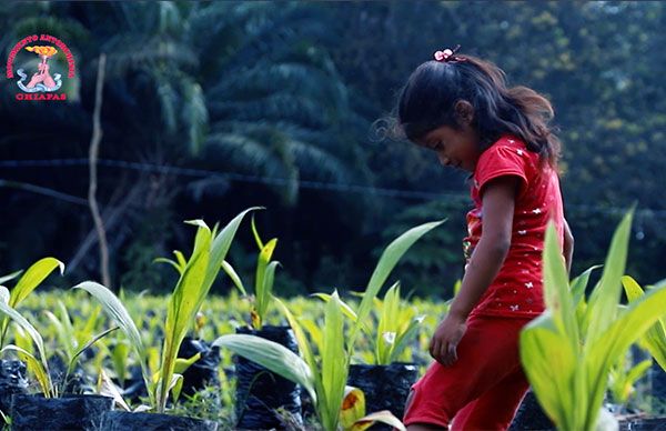 Antorchistas son beneficiados con programa para el campo