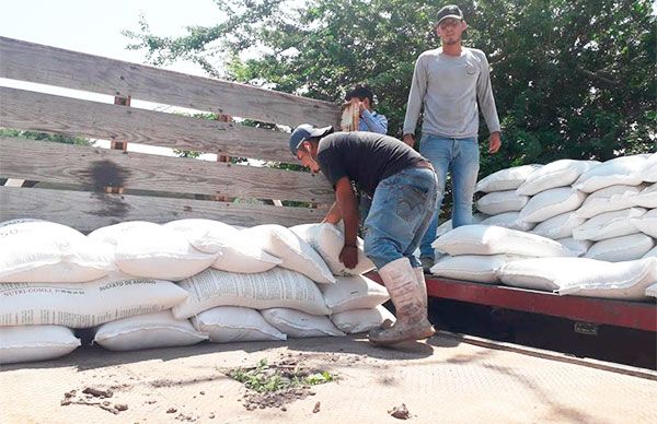 Se benefician con los frutos de su lucha; reciben fertilizante  