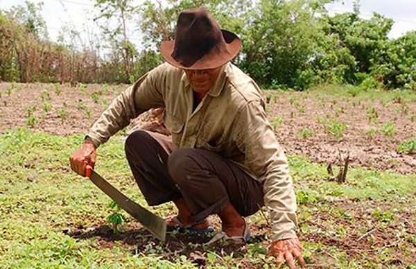 Campesinos solicitan apoyos para el campo 