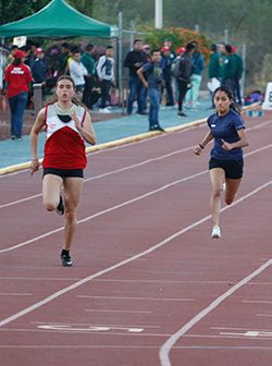 Deporte y lucha social