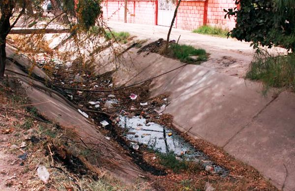 Advierten riesgo sanitario en Ejido Concordia por negligencia de autoridad municipal