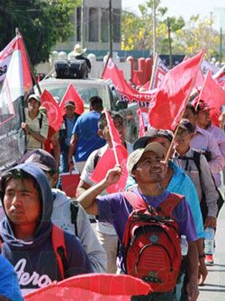 No permitamos que miles de familias caigan en hambruna